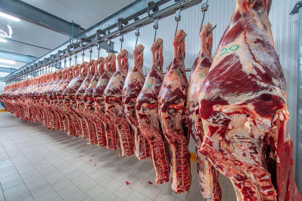 FATURAMENTO DA EXPORTAÇÃO DE CARNE BOVINA CRESCE 18%
